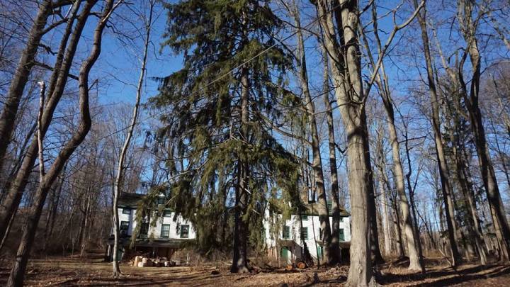 deserted village of feltville