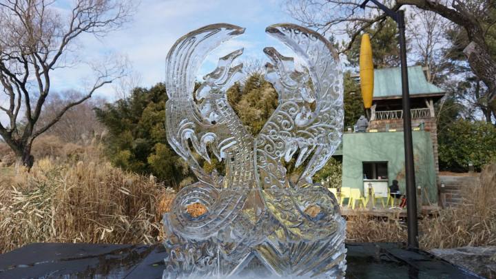 ice sculpture